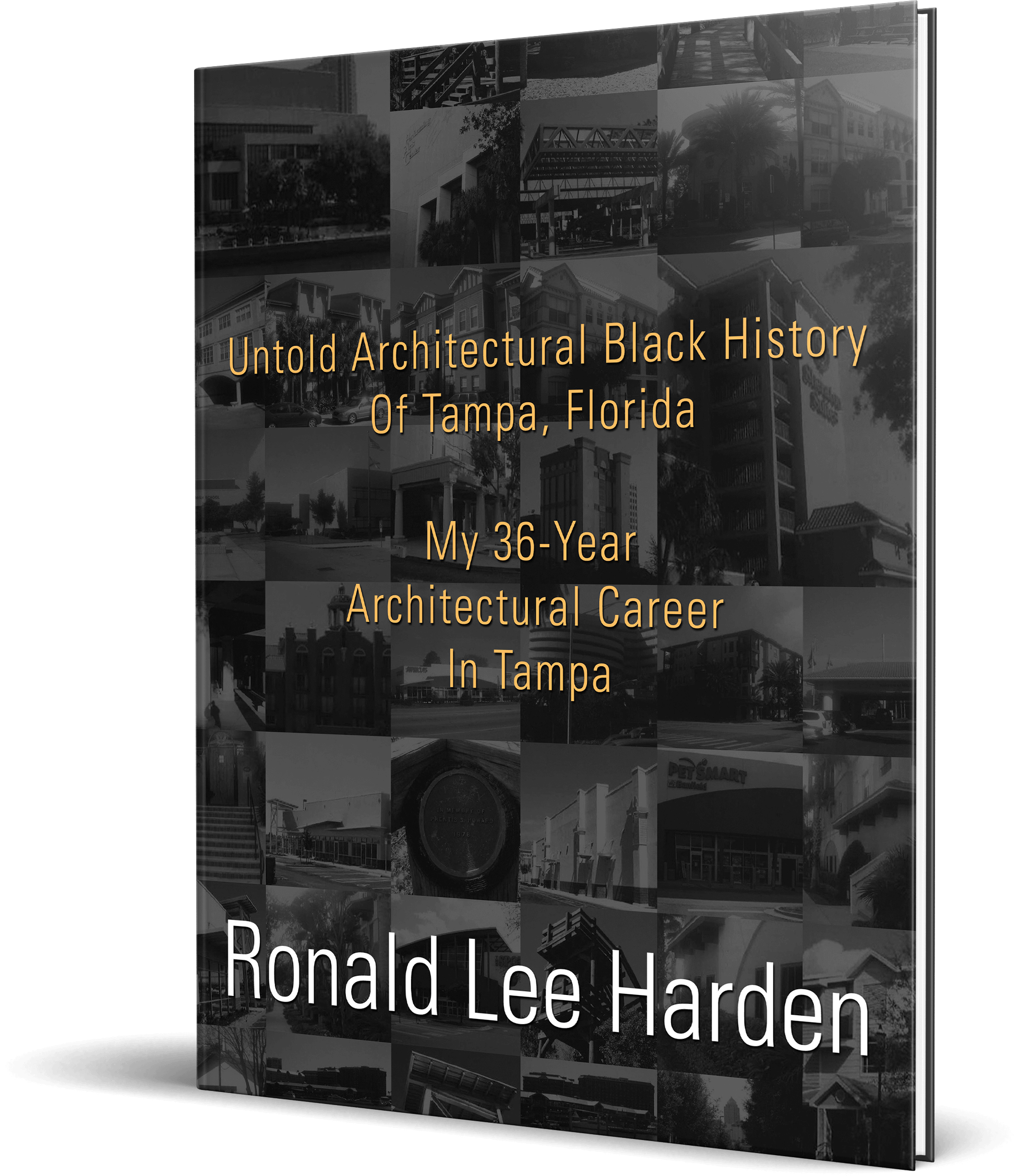 new book mockup